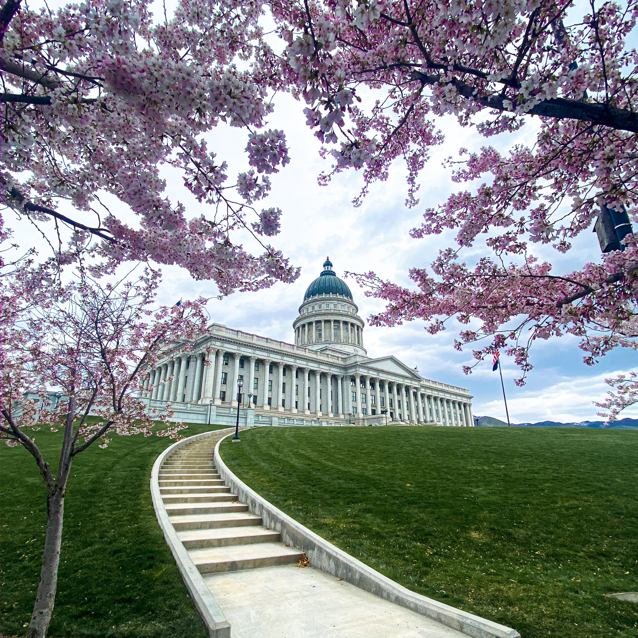 Affordable Web Design in Salt Lake City